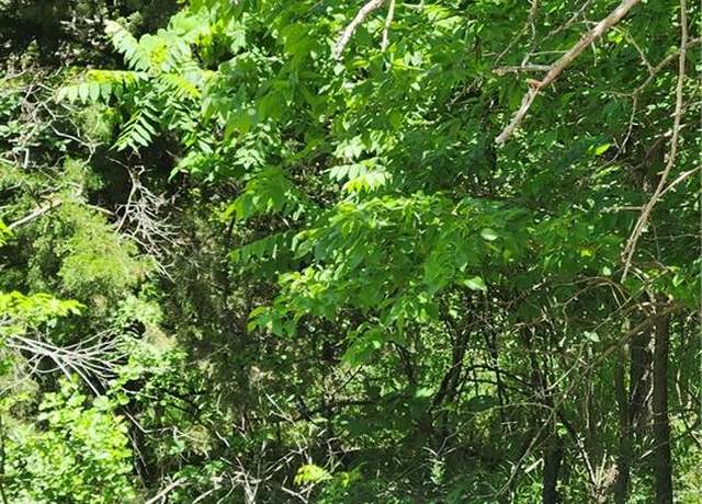 Property at 169 Sycamore Dr, Linn Valley, KS 66040