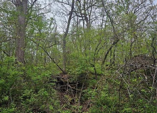 Property at Lot 47 - 48 Park Ln, Oak Grove, MO 64075