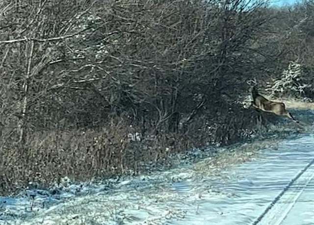 Property at 197 Sycamore Dr, Linn Valley, KS 66040