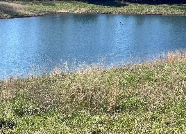 Property at Tbd E. C Hwy, Lamar, MO 64759