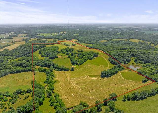 Property at 81 AC Mount Hebron Rd, Odessa, MO 64076