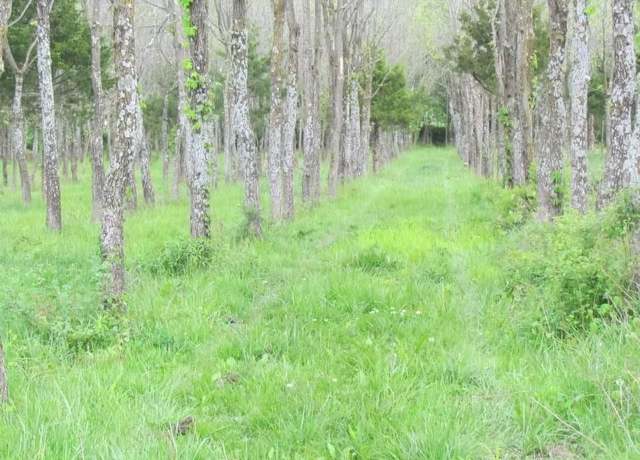 Property at Tract 1 Renick Rd, Oak Grove, MO 64075