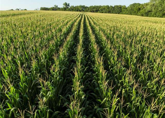 Property at 0000 174th St, Valley Falls, KS 66088