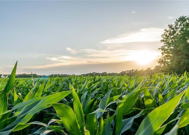 Property at County 280 Rd, MO 65274