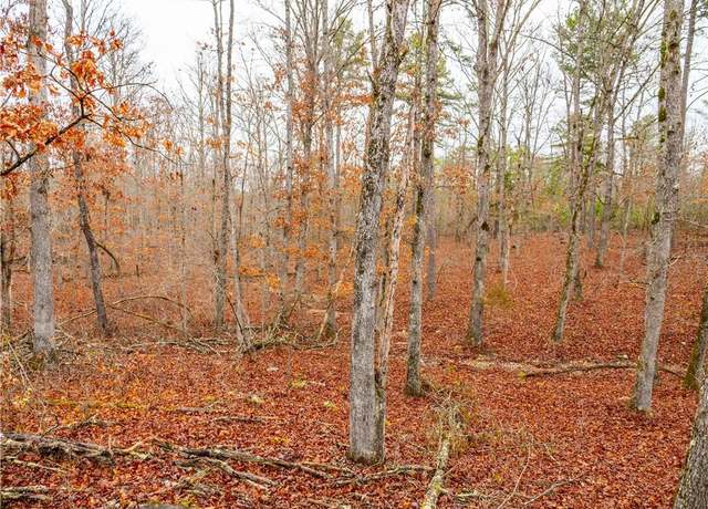 Property at County Road Y-617 N/A, Birch Tree, MO 65438