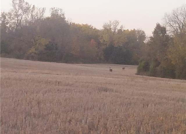 Property at 4-acres E 315th St, Drexel, MO 64742
