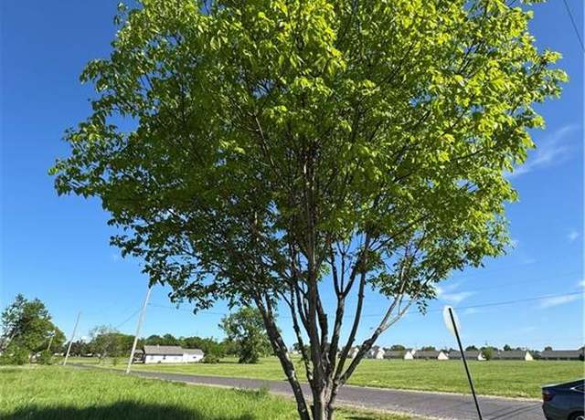Property at 1025 E Grant St, Ottawa, KS 66067