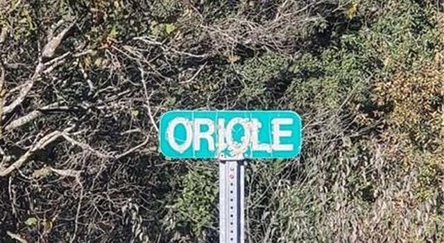 Photo of Oriole St, Odessa, MO 64076