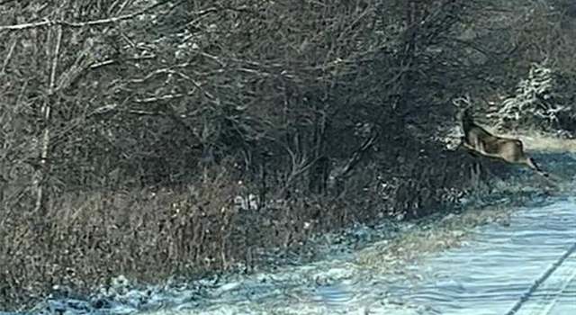 Photo of 197 Sycamore Dr, Linn Valley, KS 66040