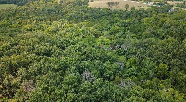 Photo of 000 US Hwy 65 N/A, Cross Timbers, MO 65634