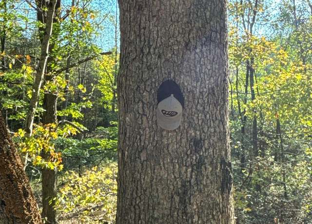 Property at 0 Strait Creek Rd, Brushcreek Twp, OH 45660