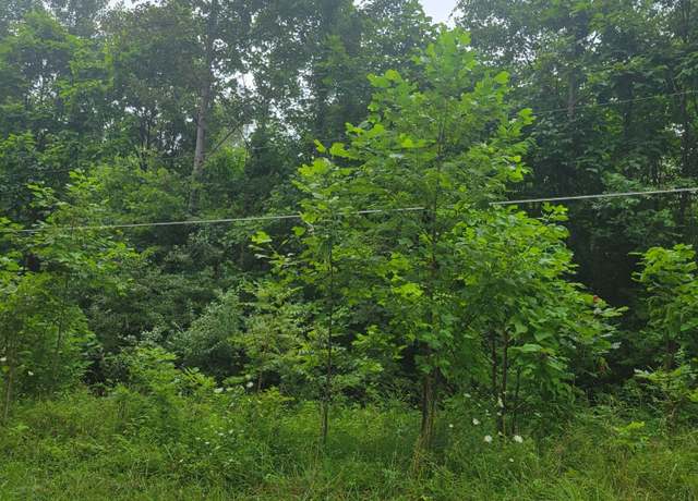 Property at 0 Fishermans Wharf Ln, Marshall Twp, OH 45133