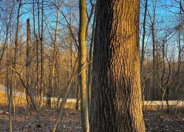 Property at 1 Riegel Ridge Rd, Scioto Twp, OH 45640