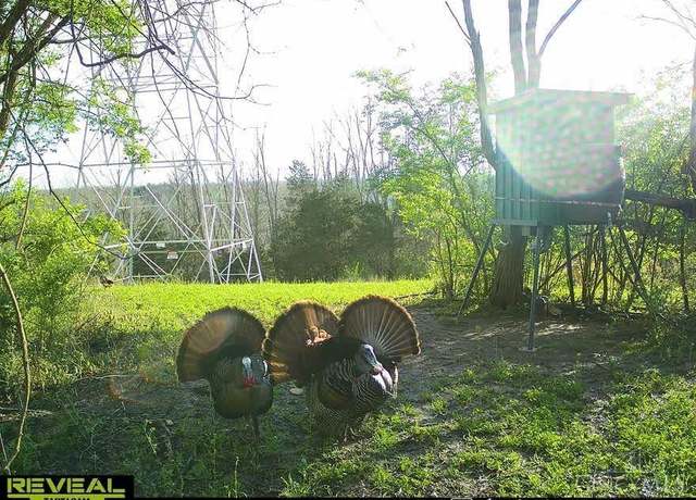 Property at 783 Lick Skillet Rd, Manchester, OH 45144