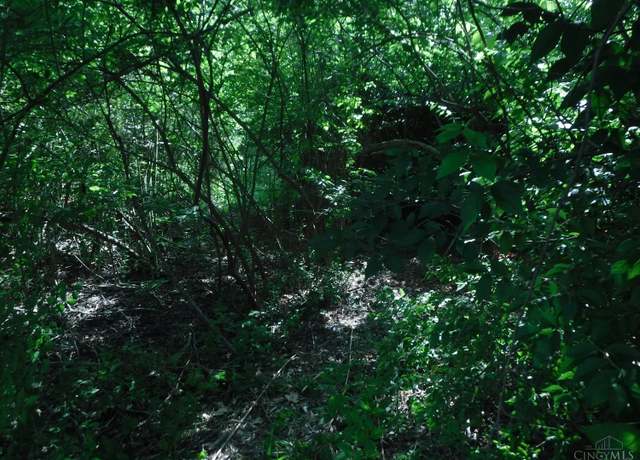 Property at 14703 Brier Hill Rd, Bainbridge, OH 45133