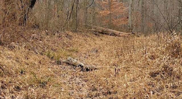Photo of 0 White Gravel Mcdaniel Rd, Madison Twp, OH 45653