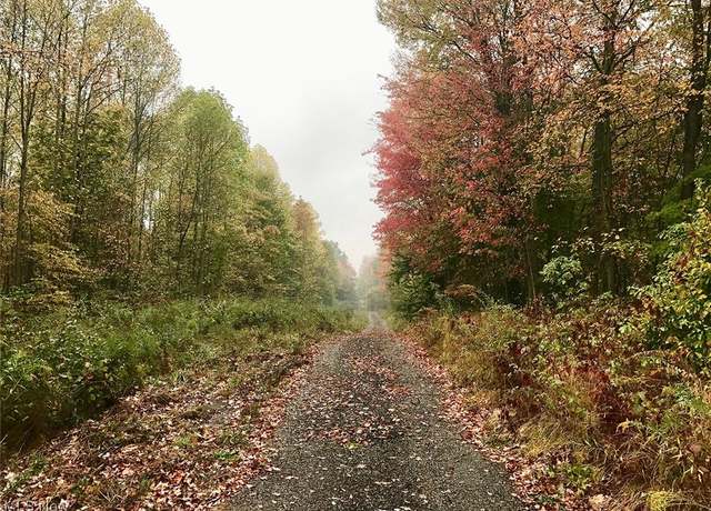 Property at Bryant, Garrettsville, OH 44231