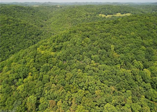 Property at 1885 Blue Knob Rd, WV 25113