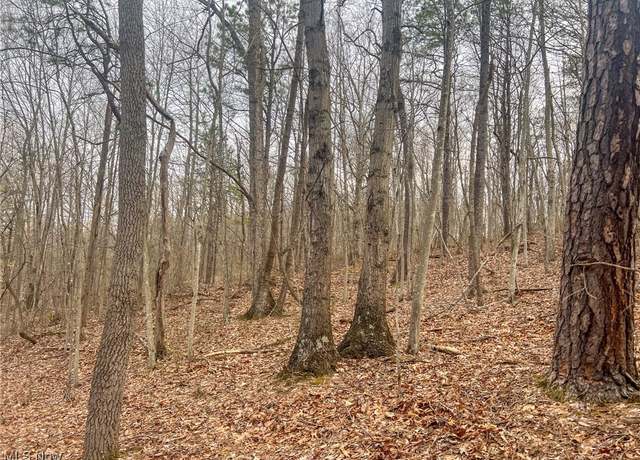 Property at Ponetoen Rd, Ray, OH 45672
