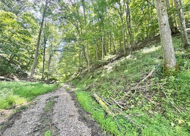 Property at 1588 Crummies Creek Rd, Arnoldsburg, WV 25234