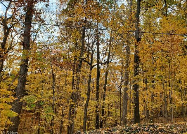 Property at Township Rd 444, Warsaw, OH 43844