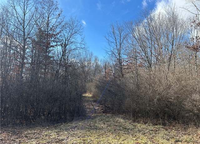 Property at Red Ln, Cumberland, OH 43722