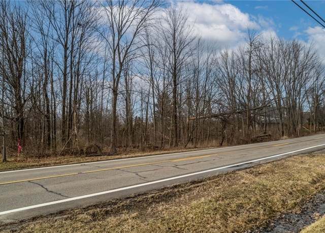 Property at Niles Ashtabula, Cortland, OH 44410