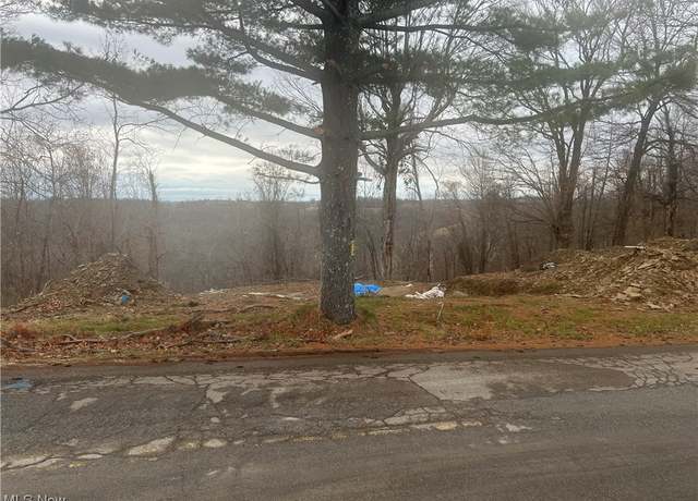 Property at 54257 Fulton Hill Rd, Bellaire, OH 43906