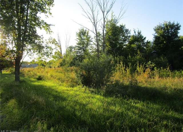 Property at 159 Rome Rock Creek Rd, Roaming Shores, OH 44085