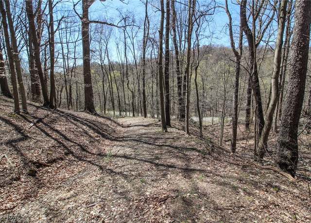 Property at Mercer Rd, St. Clairsville, OH 43950