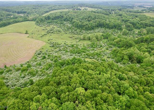 Property at 44312 Cream Ridge Rd, Lisbon, OH 44432