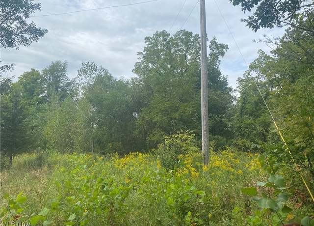 Property at Gore Orphanage Rd, New London, OH 44851