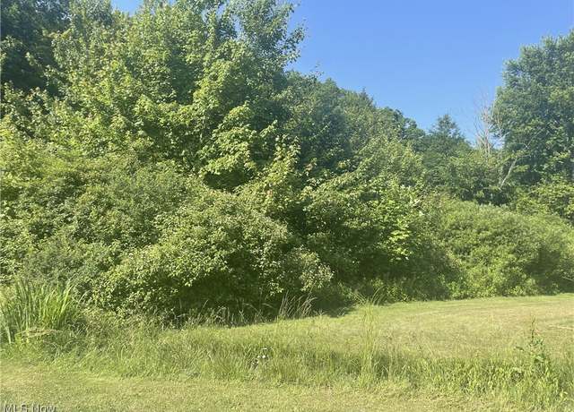 Property at Chestnut St, Andover, OH 44003