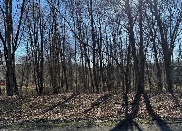 Property at 49081 Hickman Rd, East Liverpool, OH 43920