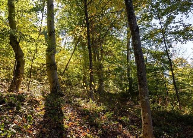 Property at Dixon Ridge Rd, Lowell, OH 45744