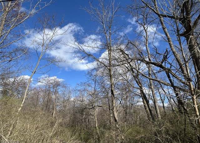 Property at V/L Dock Rd, Madison Township, OH 44057