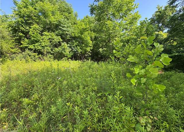 Property at 10170 Pierson Ln, Mcconnelsville, OH 43756