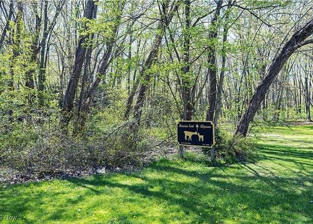 Property at V/L Townline Rd, North Perry, OH 44057