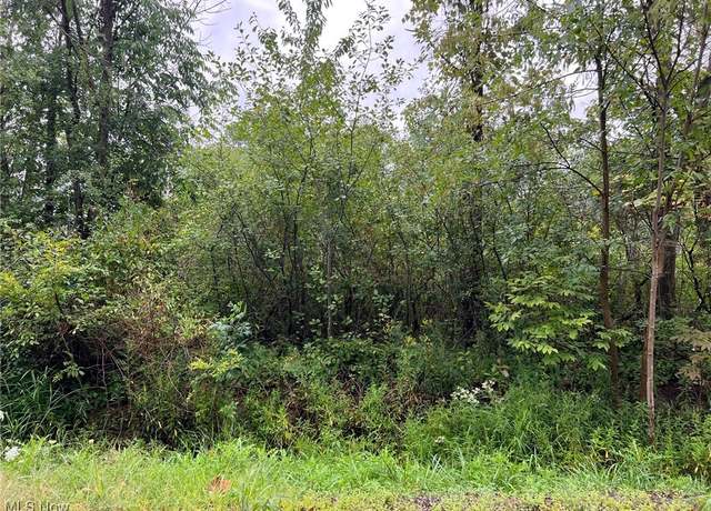 Property at Vl Springfield Rd, Warrensville Heights, OH 44128