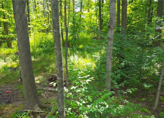 Property at 1151 Laurel Dr, West Salem, OH 44287