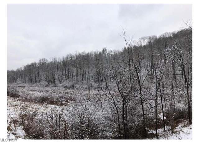 Property at Salt Run Rd, Caldwell, OH 43724