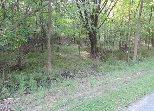Property at Saint Andrews, Youngstown, OH 44505