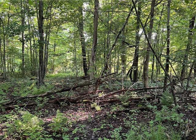Property at Orchard St, Andover, OH 44003