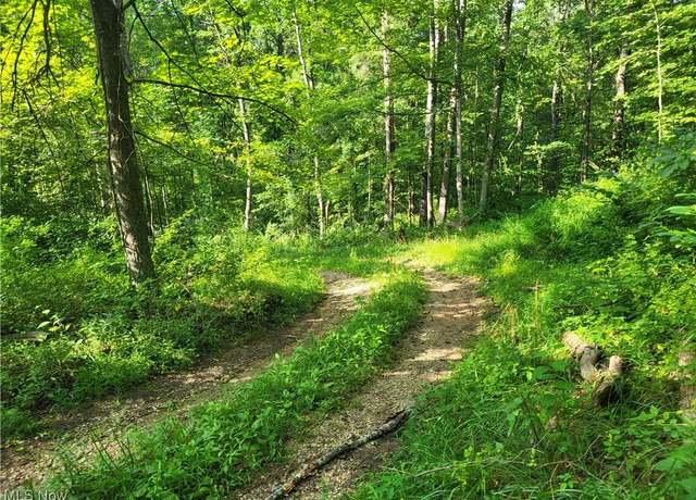 Property at 5855 Olney Run Rd, Mcconnelsville, OH 43756