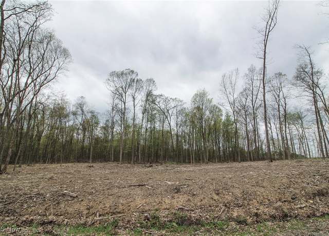 Property at 0 Wayland Rd, Diamond, OH 44412