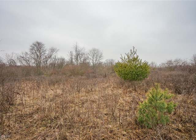 Property at Red Lane Rd, Cumberland, OH 43732