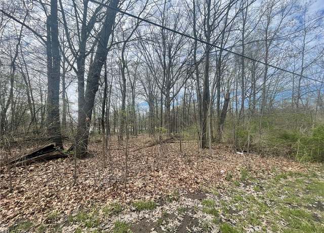 Property at Denver Ave, Lorain, OH 44055