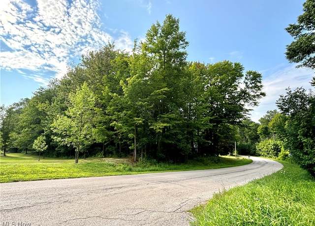 Property at V/L Furnace Rd, Conneaut, OH 44030