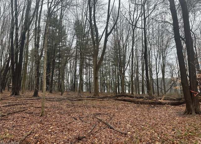 Property at Rootstown Rd, Rootstown, OH 44266
