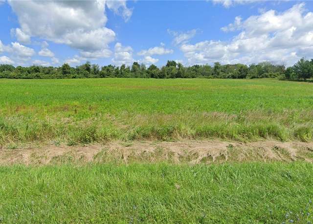Property at Lot # 7 Chippewa Rd, Chippewa Lake, OH 44215